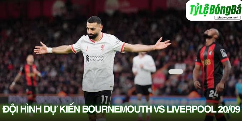 Tình hình lực lượng Bournemouth vs Liverpool