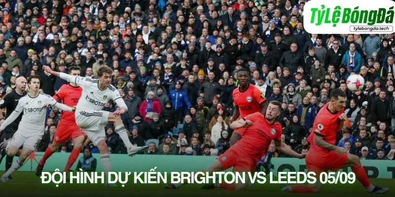 Tình hình lực lượng Brighton vs Leeds 05/09
