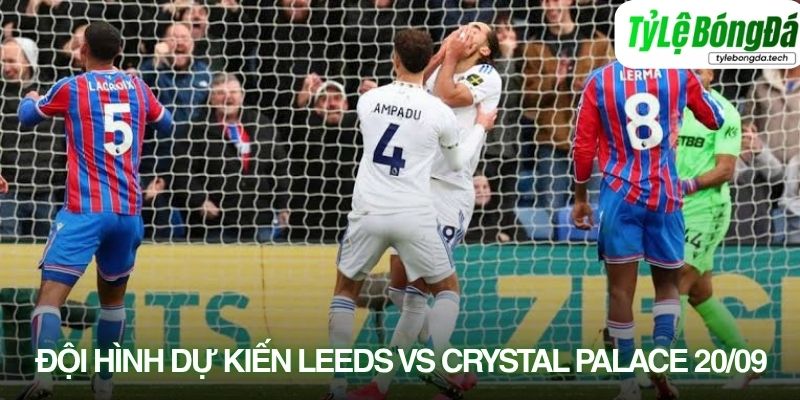 Tình hình lực lượng Leeds United vs Crystal Palace