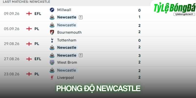 Newcastle đang duy trì chuỗi trận bất bại khá ấn tượng trước cuộc tiếp đón Hull
