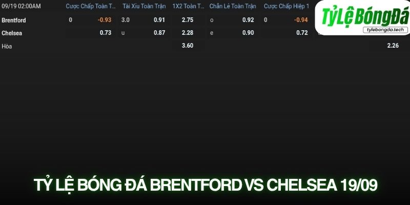 Tỷ lệ bóng đá Brentford vs Chelsea 19/09
