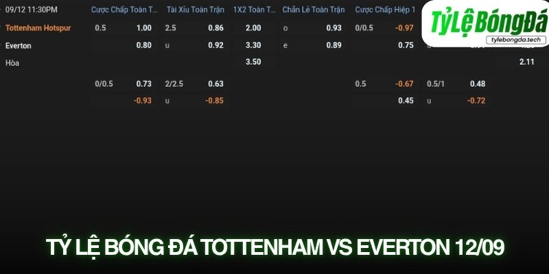 Tỷ lệ bóng đá Tottenham vs Everton 12/09